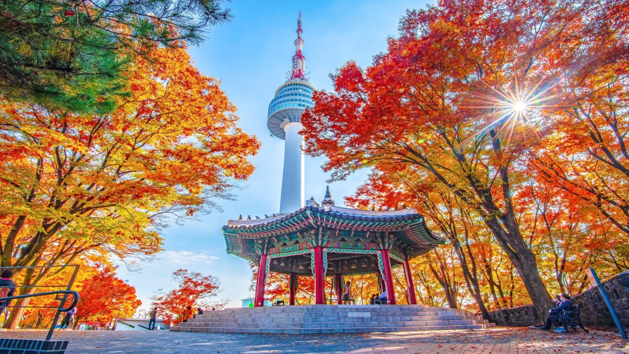 SEOUL KOREA (Autumn Adventure)