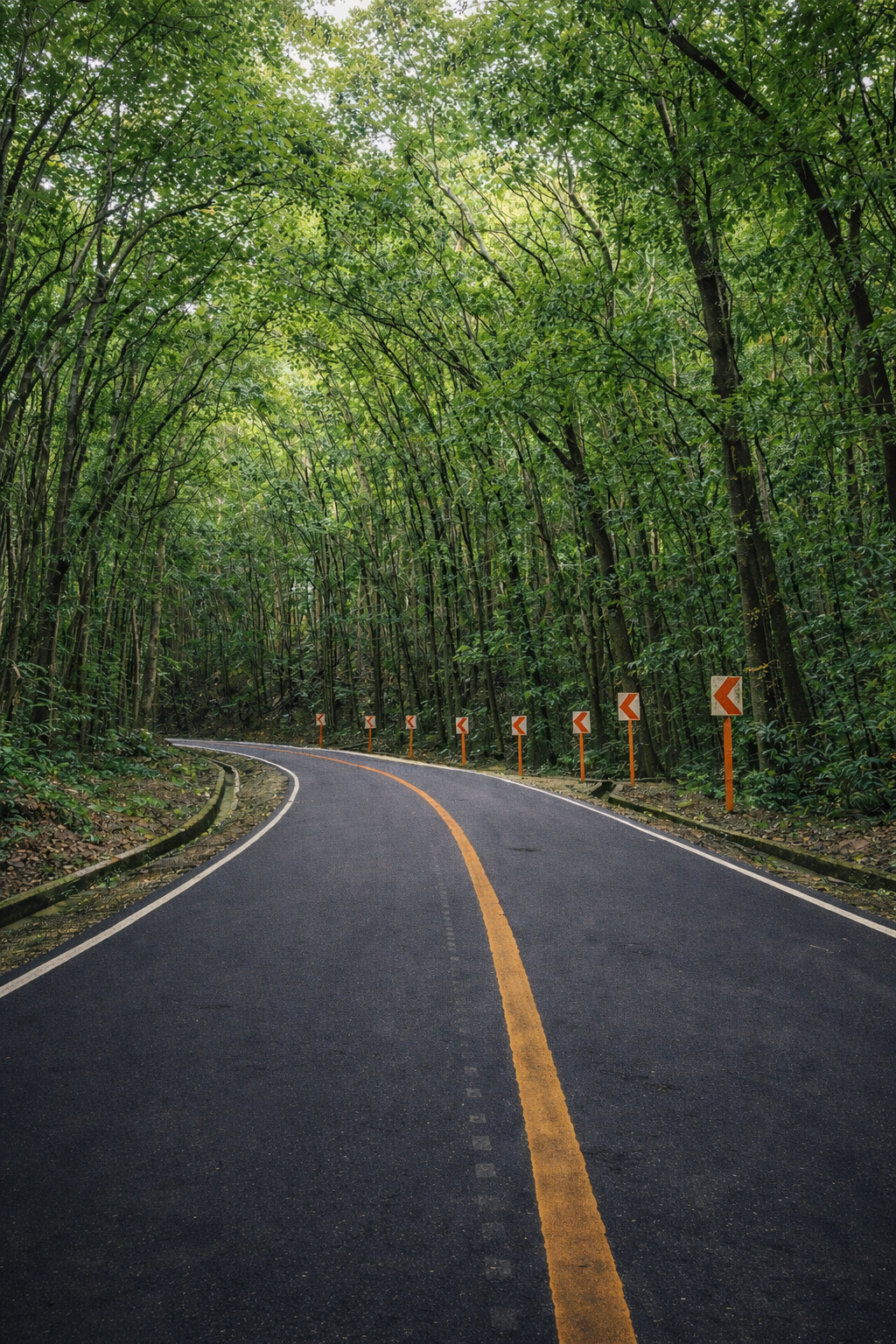 Land Travel - Road Trip